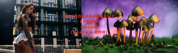 mdma Тайга