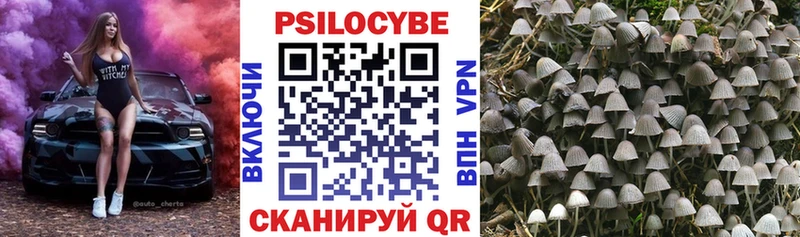 Псилоцибиновые грибы Magic Shrooms  Дорогобуж 